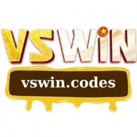 Profile picture of vswincodes@gmail.com