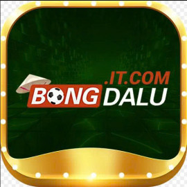 Profile photo of phanchien549@gmail.com