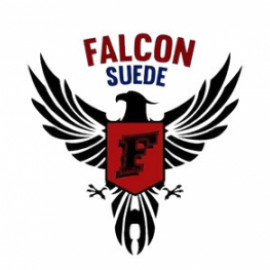 Profile photo of falconsuedeus@gmail.com