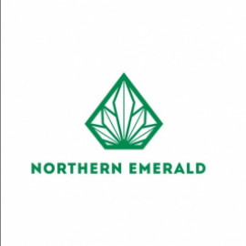 Profile photo of infor.northernemerald@gmail.com