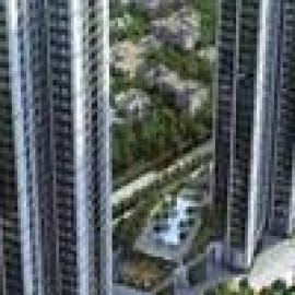 Profile photo of birlaojasvi3@gmail.com