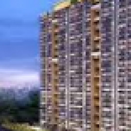 Profile picture of tiaragodrej0@gmail.com