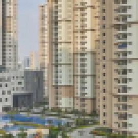 Profile photo of psouthernstar1@gmail.com