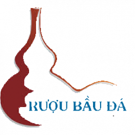 Profile photo of vothanhlam1151@gmail.com