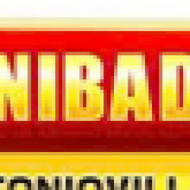 Profile picture of arellanoariaellison9.03627@gmail.com