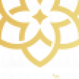 Profile photo of ch.i.9.1.5.29@gmail.com