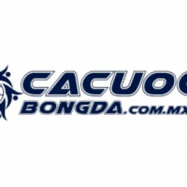 Profile picture of cavawdasdaw215@gmail.com