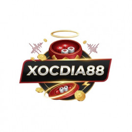 Profile picture of ceohaoduyan@gmail.com