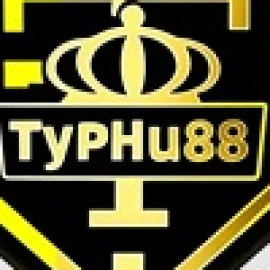 Profile picture of ceotramkyphong@gmail.com