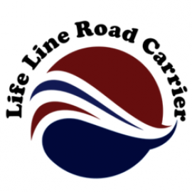 Profile picture of lifelinelogitics@gmail.com