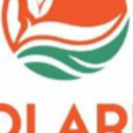 Profile picture of jeuvwy.a.di.nfarre@gmail.com