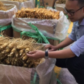 Profile picture of luonglinh8052z@gmail.com