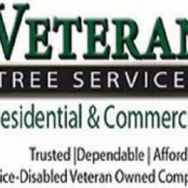 Profile picture of treeveteranservices@gmail.com