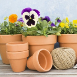 Profile picture of cobi.rucker@freedrops.org