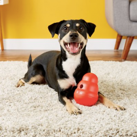 Profile picture of beheve6415@percyfx.com