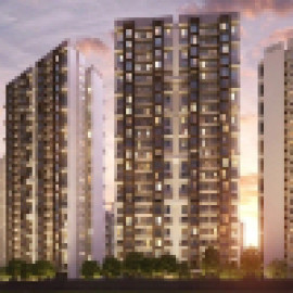 Profile photo of birlapunya9@gmail.com