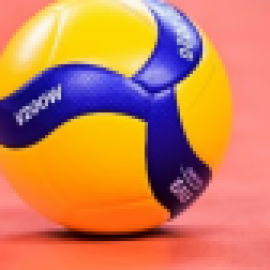 Profile photo of tatu.m.humbertodonova45438@gmail.com