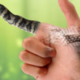 Profile picture of gloriamakenamarg.ar.et.4.9616@gmail.com