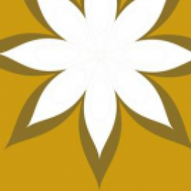 Profile picture of vie.t.n.a.mf.oodtour065@gmail.com