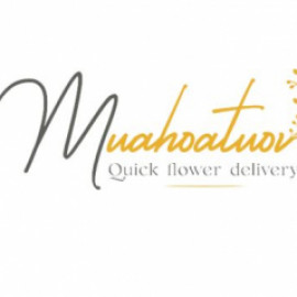 Profile photo of stormkhan515@gmail.com