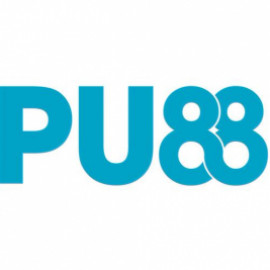 Profile picture of infor.pu88autos@gmail.com