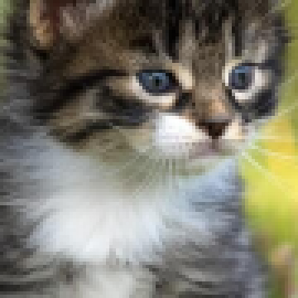 Profile picture of par.r.i.sh.reynoldspaul621@gmail.com