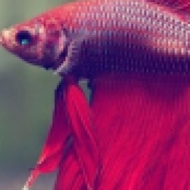 Profile picture of pooleescobarfran.kli874@gmail.com