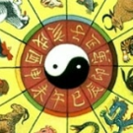 Profile photo of braxtongeorg.e.g.reenbe9005@gmail.com