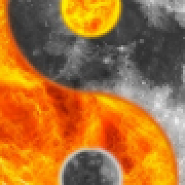 Profile picture of barrerasalaza.r.po.well1347@gmail.com