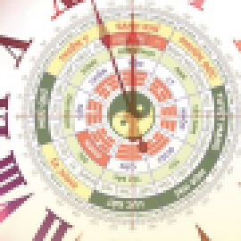 Profile picture of amandary.d.er.l.illian3953@gmail.com