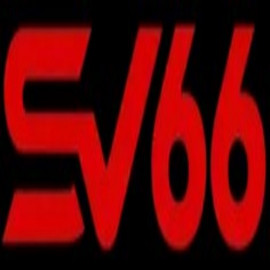 Profile picture of nguyenthangg4675@gmail.com