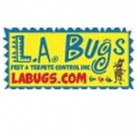 Profile picture of Citation.noelia@gmail.com