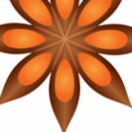 Profile photo of be.s.tindochinatours@gmail.com