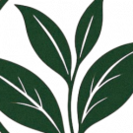 Profile photo of tra.l.ocng.uyen86@gmail.com