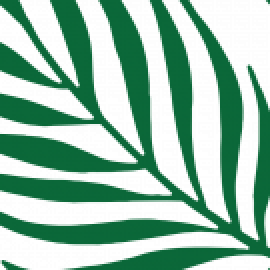 Profile photo of arecaviet@gmail.com