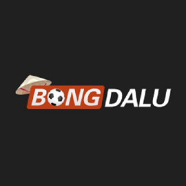 Profile picture of bongdalu1vn@gmail.com
