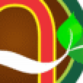 Profile photo of maccaanhquoc98@gmail.com