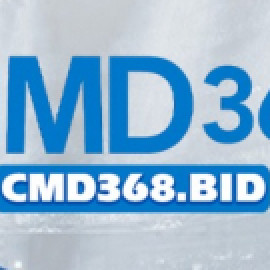 Profile picture of hongminh9744o@gmail.com