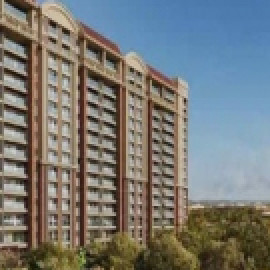 Profile photo of brigadelumina074@gmail.com