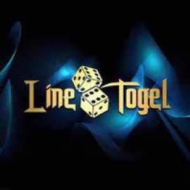 Profile photo of son985667@gmail.com