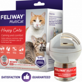 Profile photo of yetix42754@iotrama.com