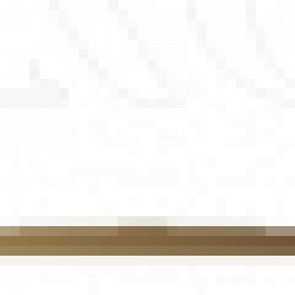 Profile picture of n.guy.e.n.minhngoc.manu@gmail.com