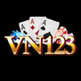 Profile photo of vn123pw@gmail.com