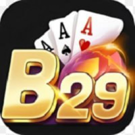 Profile picture of b29cclub@gmail.com