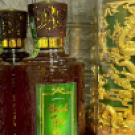 Profile photo of nhaphobinhd.u.ong.np@gmail.com