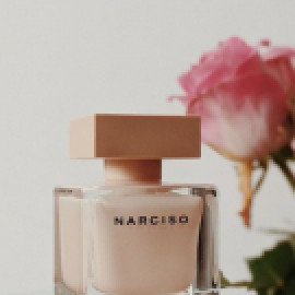 Profile picture of riltiturzi@necub.com