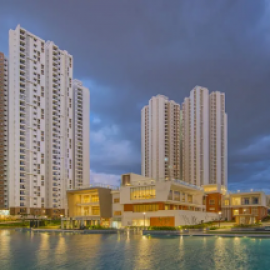 Profile photo of falconcityluxee@gmail.com