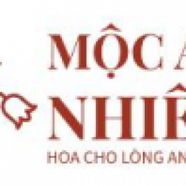 Profile photo of t.ri.n.hdinhdat204@gmail.com