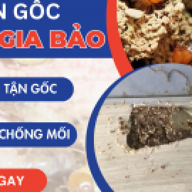 Profile photo of trunglinhnh.ib.a.o.1981@gmail.com