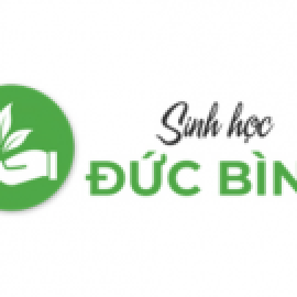 Profile picture of cachuphancabangchephamem@gmail.com